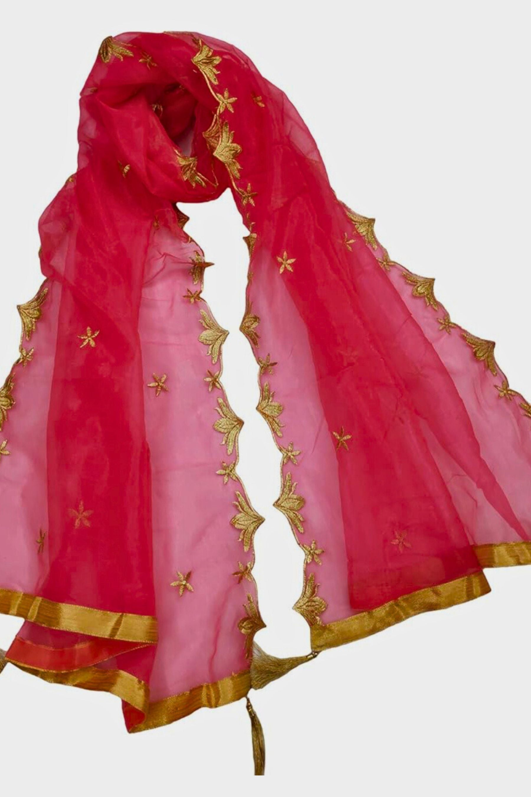 Premium Quality Embroidered Net Dupatta - For Graceful & Diverse Styling