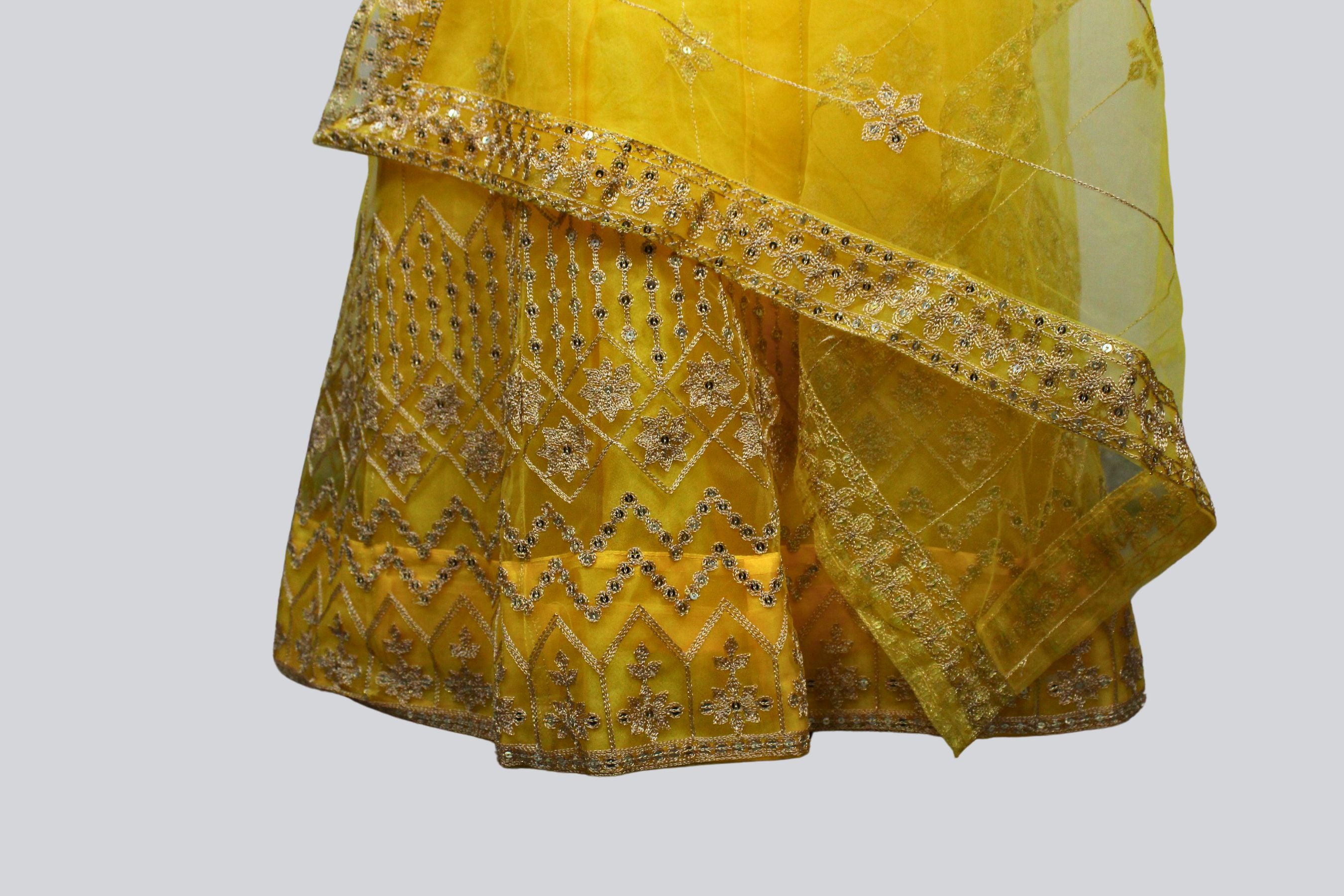 Women Lehenga: Traditional Elegance & Modern Flair in One Ensemble LEHENGA JCS Fashions