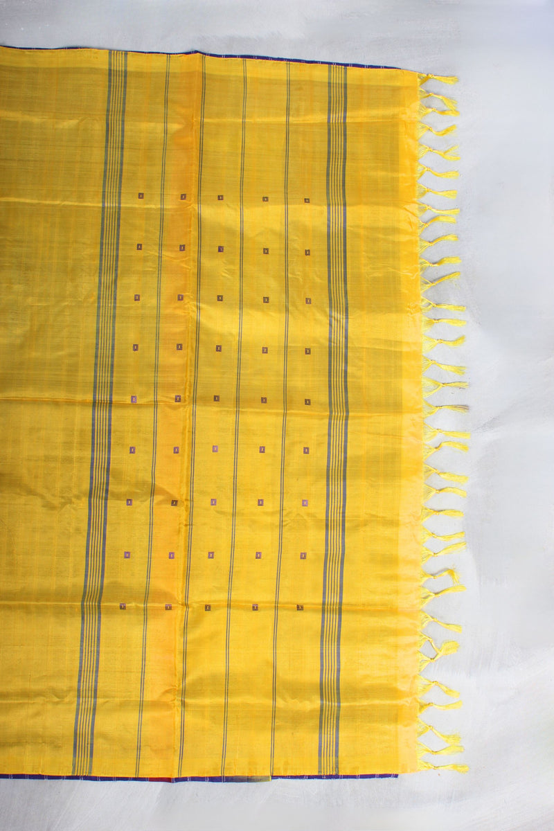 Borderless Banana Pith Saree: Traditional Meets Sustainable Fashion