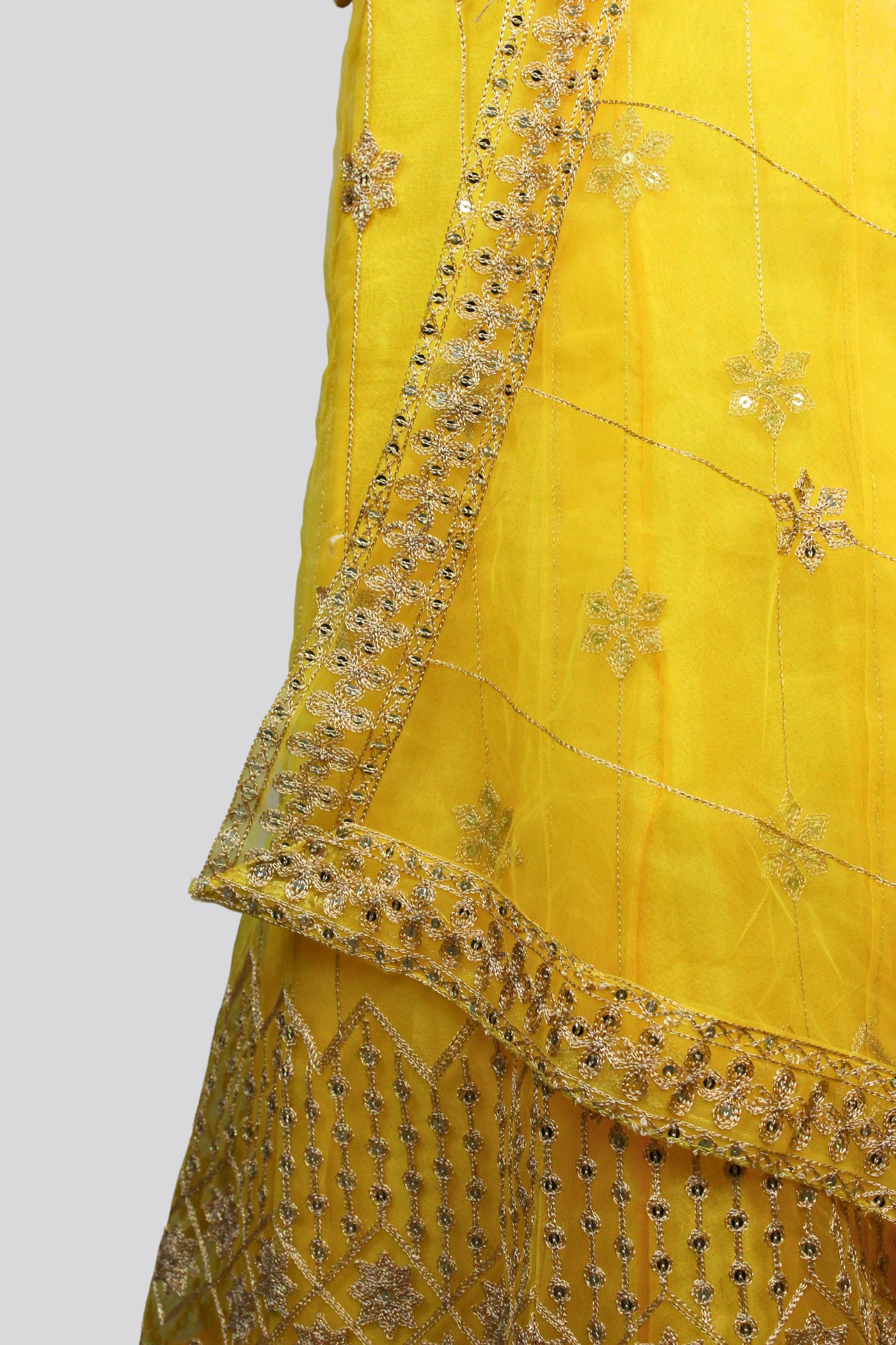 Women Lehenga: Traditional Elegance & Modern Flair in One Ensemble LEHENGA JCS Fashions